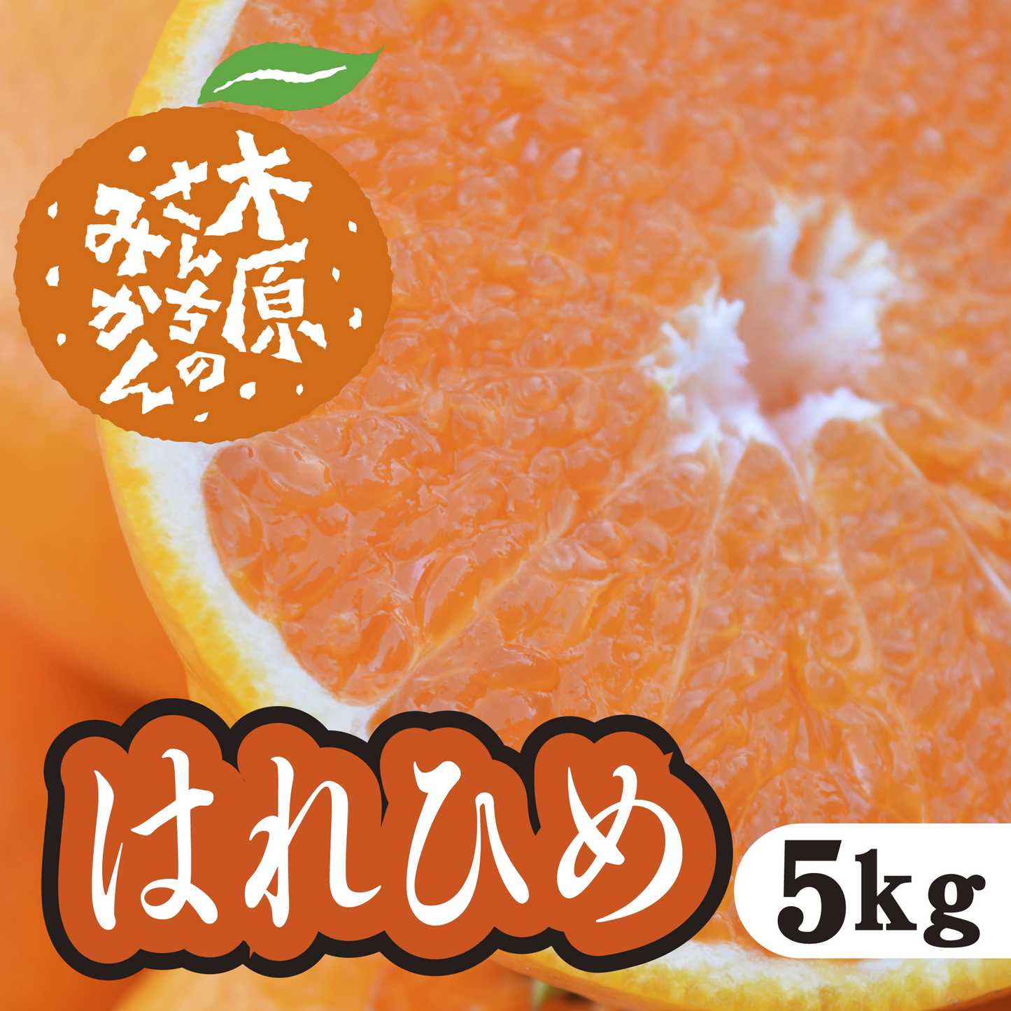 【1月中旬以降】爽やかな香りと甘み はれひめ!5Kg