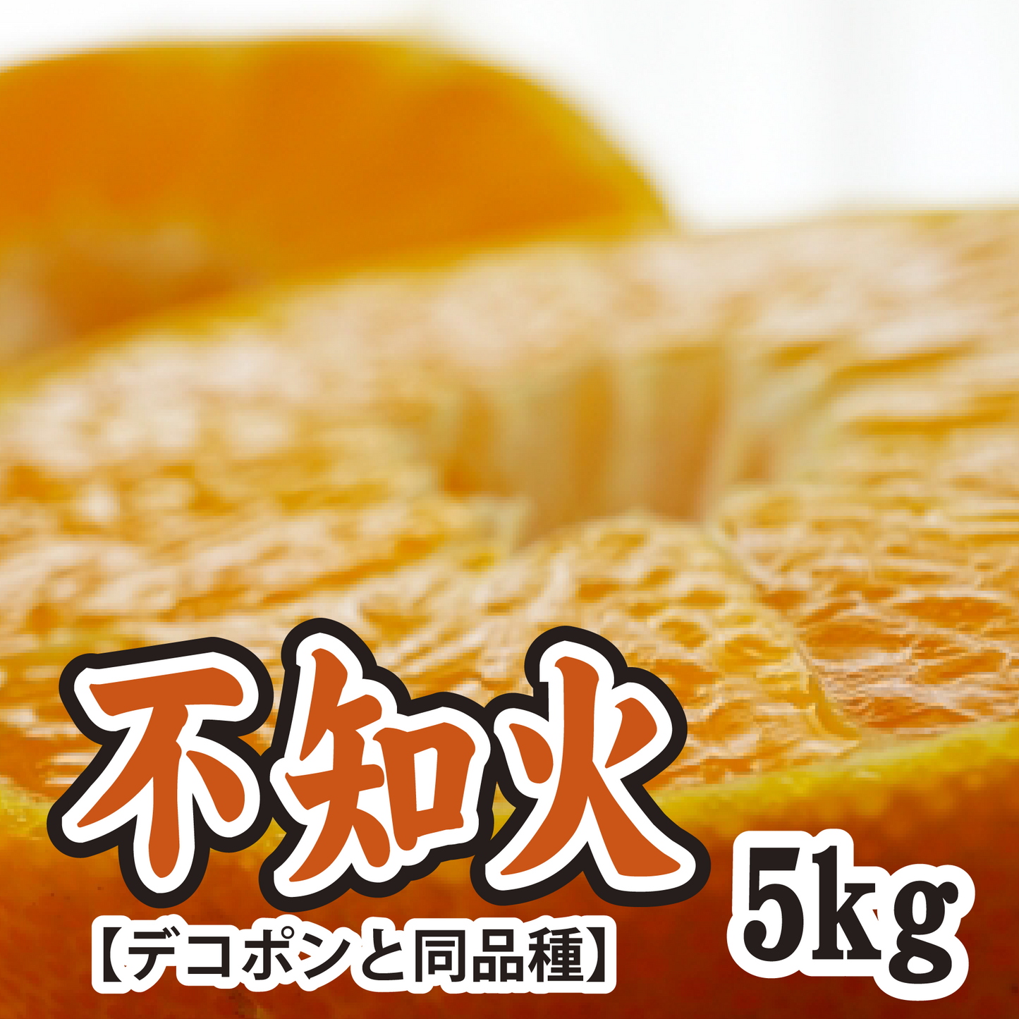 【3月上旬以降】人気の不知火(デコポンと同品種)!プルっとジューシー!5Kg