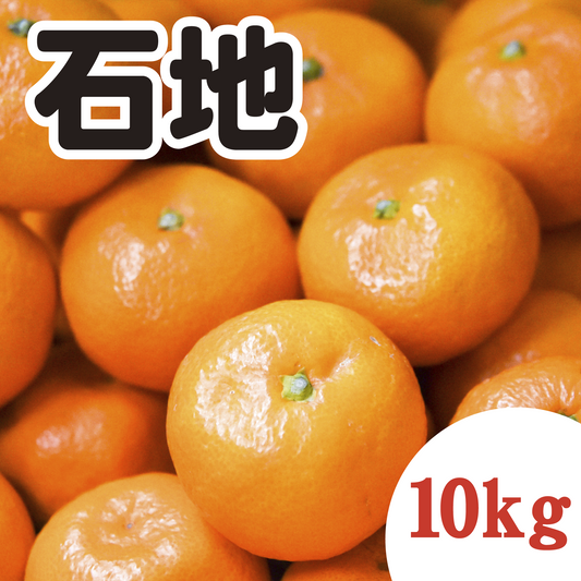 【12月上旬以降】甘さ太鼓判!濃厚!石地みかん 10Kg