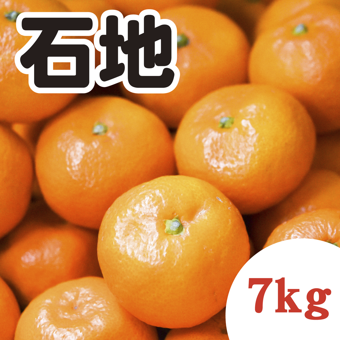 【12月上旬以降】甘さ太鼓判!濃厚!石地みかん 7Kg