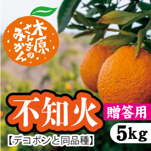 【3月上旬以降】≪贈答用≫デコが特徴!甘さとほどよい酸味が特徴『不知火』5Kg