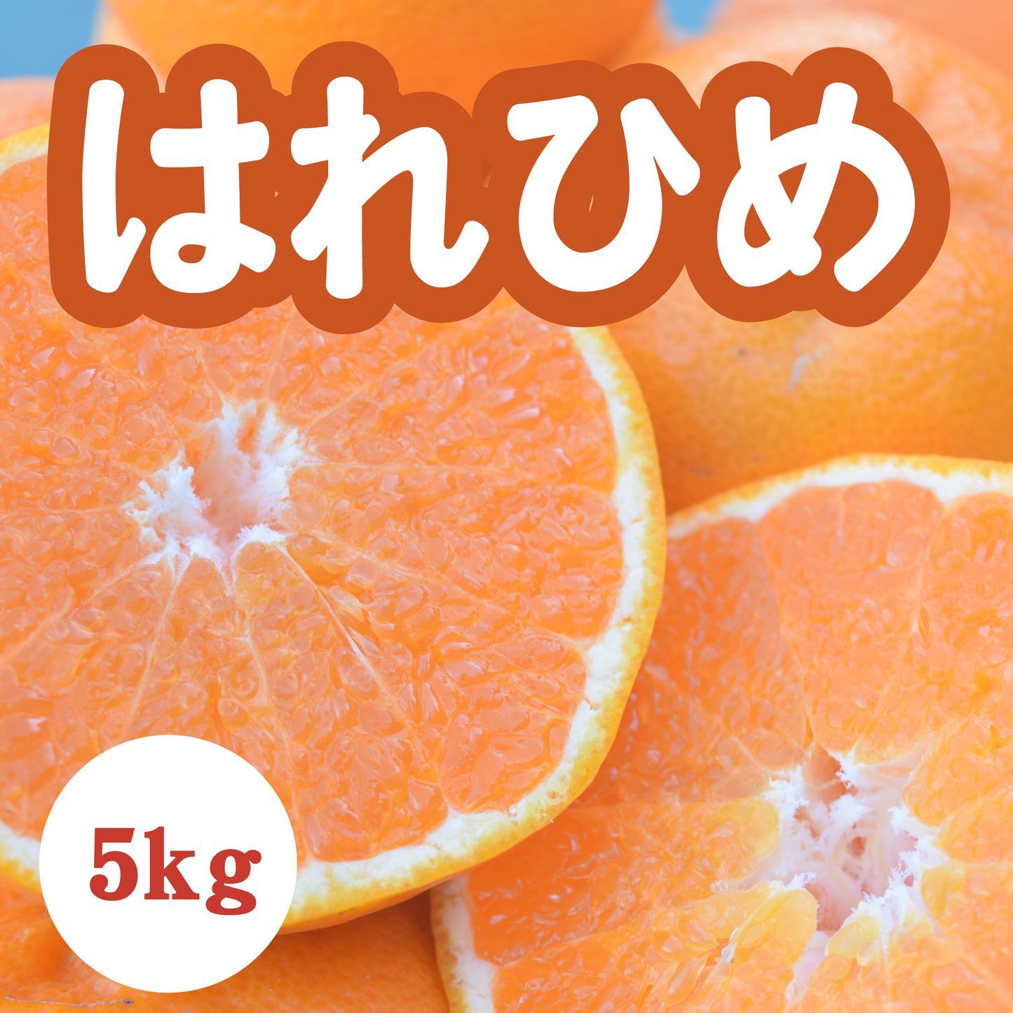 【1月上旬以降】新品種はれひめ!爽やかな甘さが特徴5Kg
