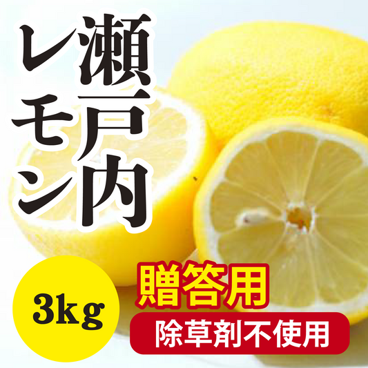 【11月以降】≪贈答用≫爽やかな酸味の瀬戸内レモン!!除草剤不使用3Kg