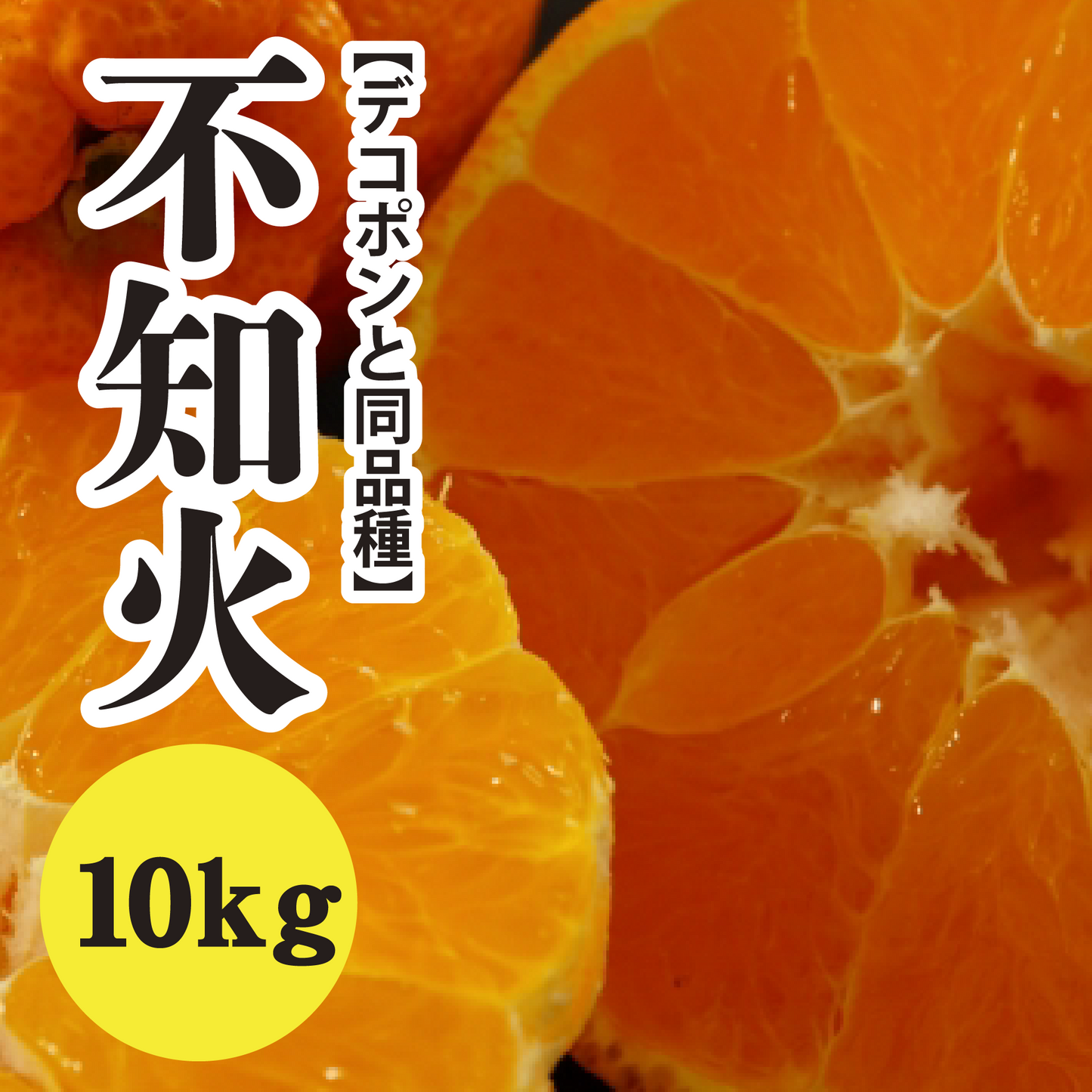 【2月中旬以降】清見とポンカンの交雑種!!人気の不知火10Kg