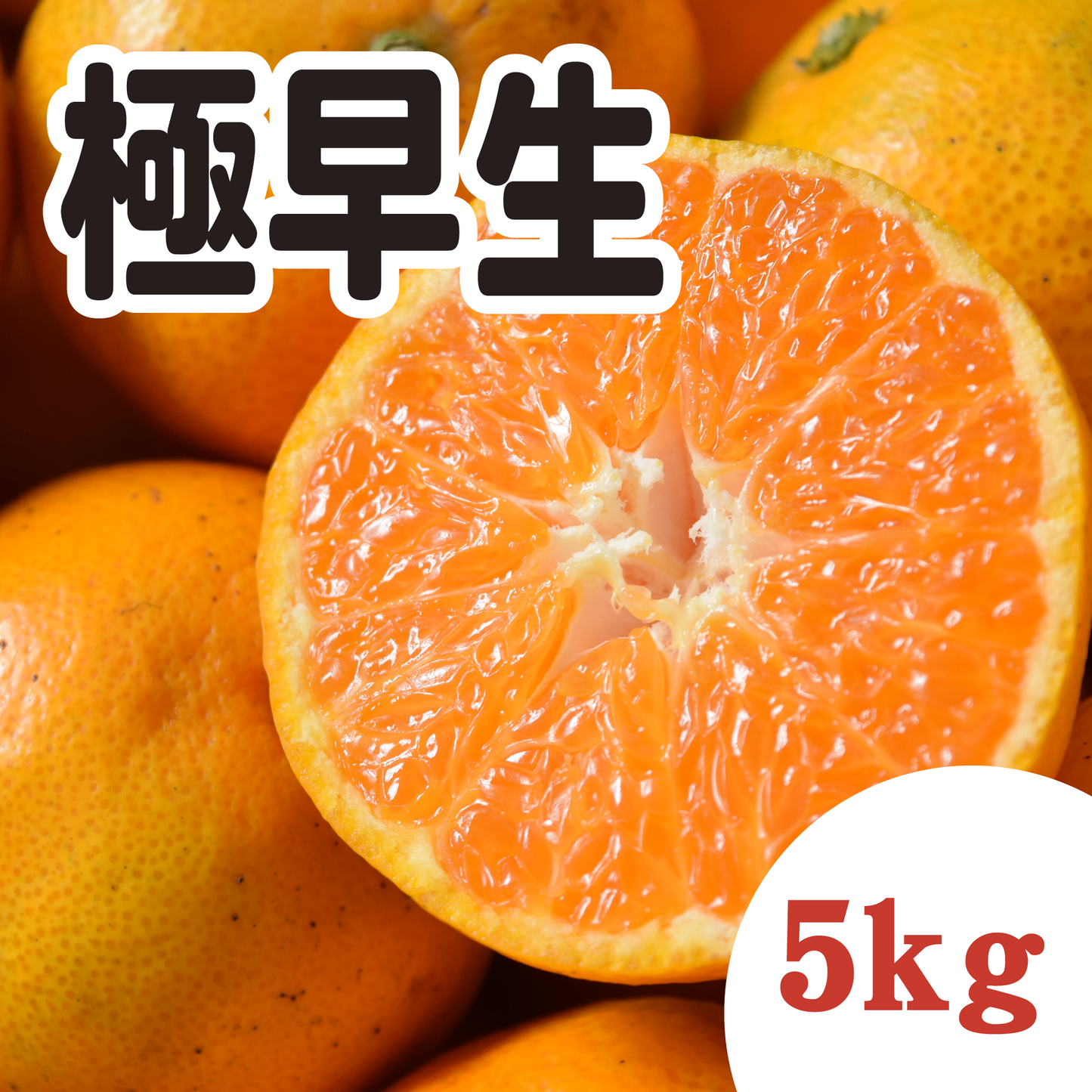 【10月下旬以降】甘くてジューシー!懐かしい極早生みかん5Kg