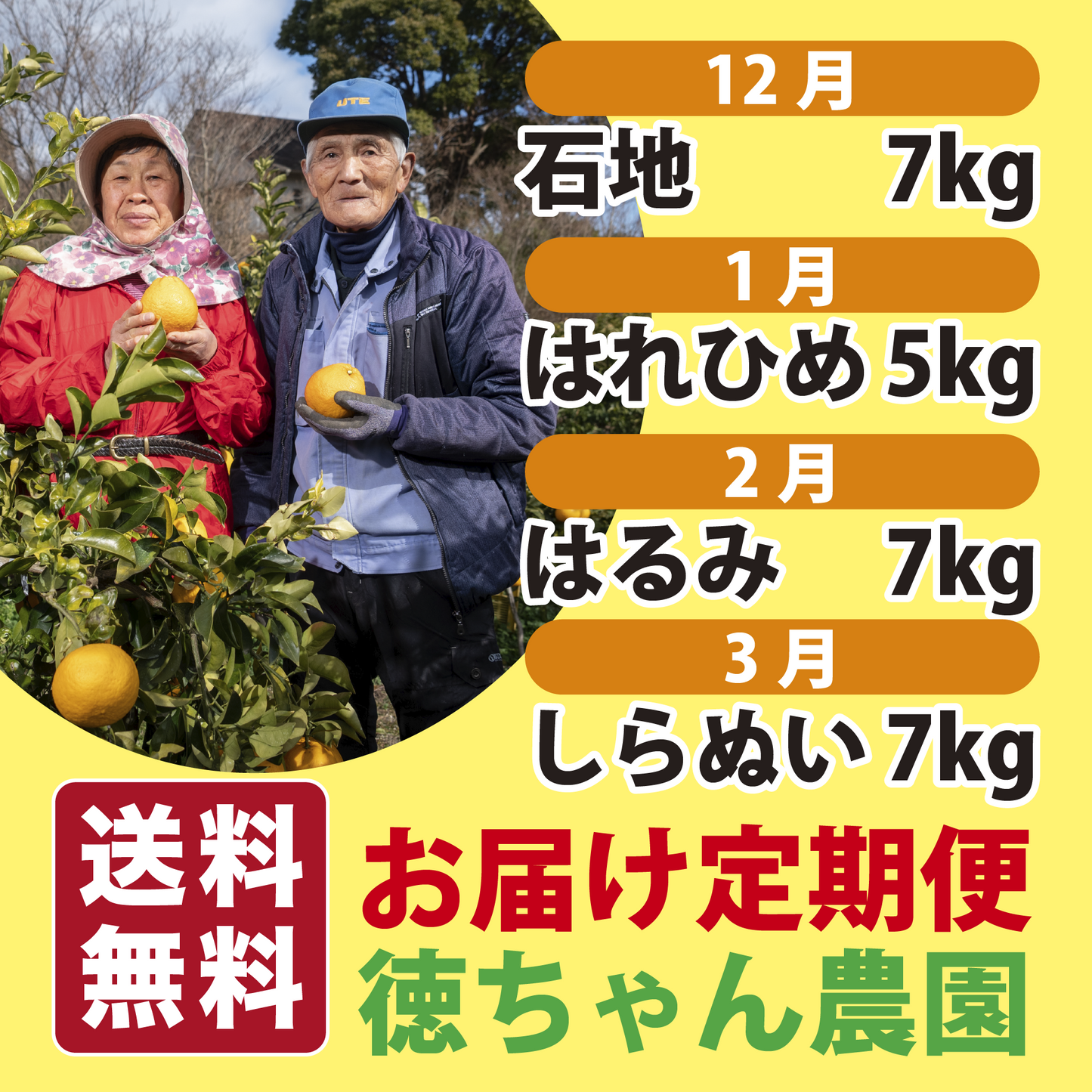 【送料無料】徳ちゃん・英ちゃん農園直送!お届け定期便 お得セット(4種類/4ヶ月)