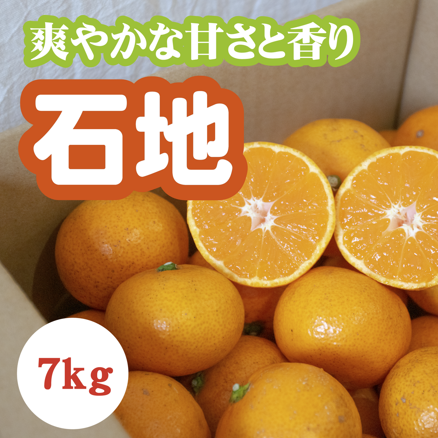 【12月上旬以降】甘さがギュッ!!と詰まった石地みかん7Kg