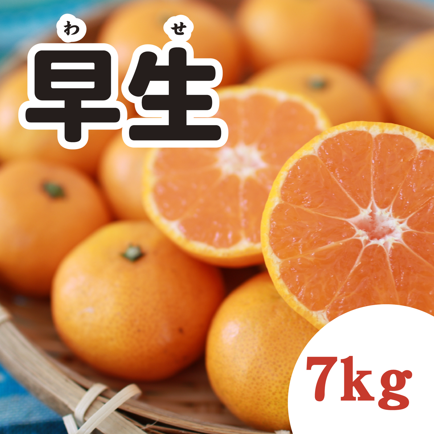 【11月上旬以降】みかん好きに愛される 早生みかん7Kg