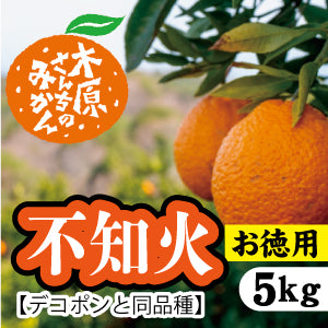 【3月上旬以降】≪お徳用≫デコが特徴!甘さとほどよい酸味が特徴『不知火』5Kg