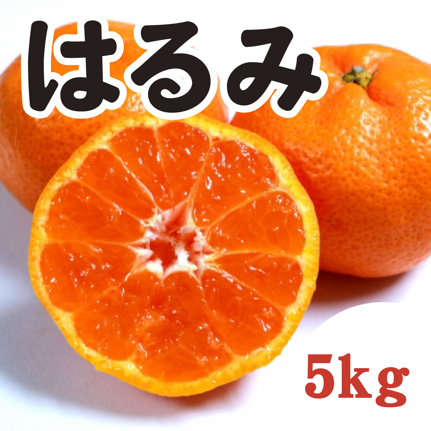 【2月中旬以降】はるみの美味しさ!甘くて弾ける果肉が絶品5Kg