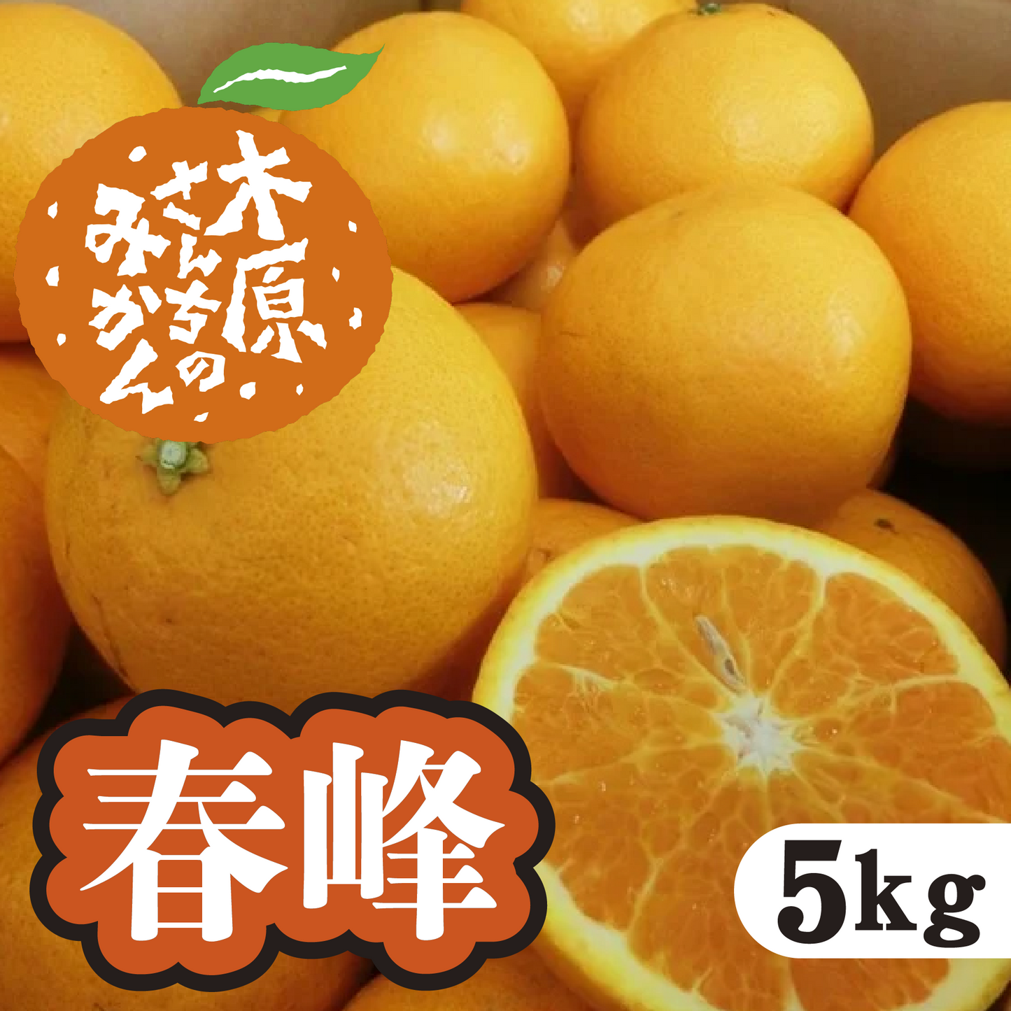 【3月上旬以降】春峰 甘身と酸味のいいとこどり!5Kg