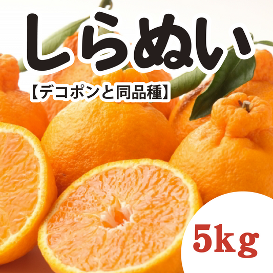 【3月中旬以降】『しらぬい(デコポンと同品種)』!甘みが強く果汁に満足!5Kg