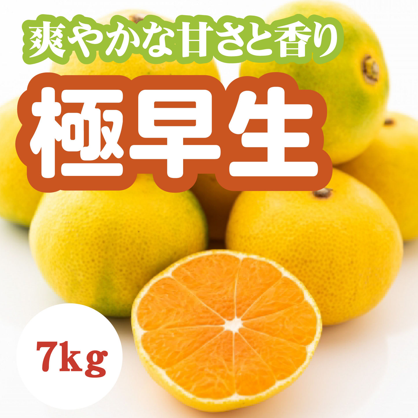 【10月中旬以降】シーズン最速!温州みかん 極早生!7㎏
