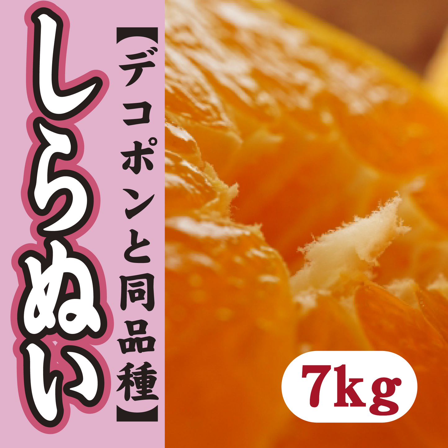 【2月下旬以降】≪デコポンと同品種≫甘さ抜群しらぬい7Kg