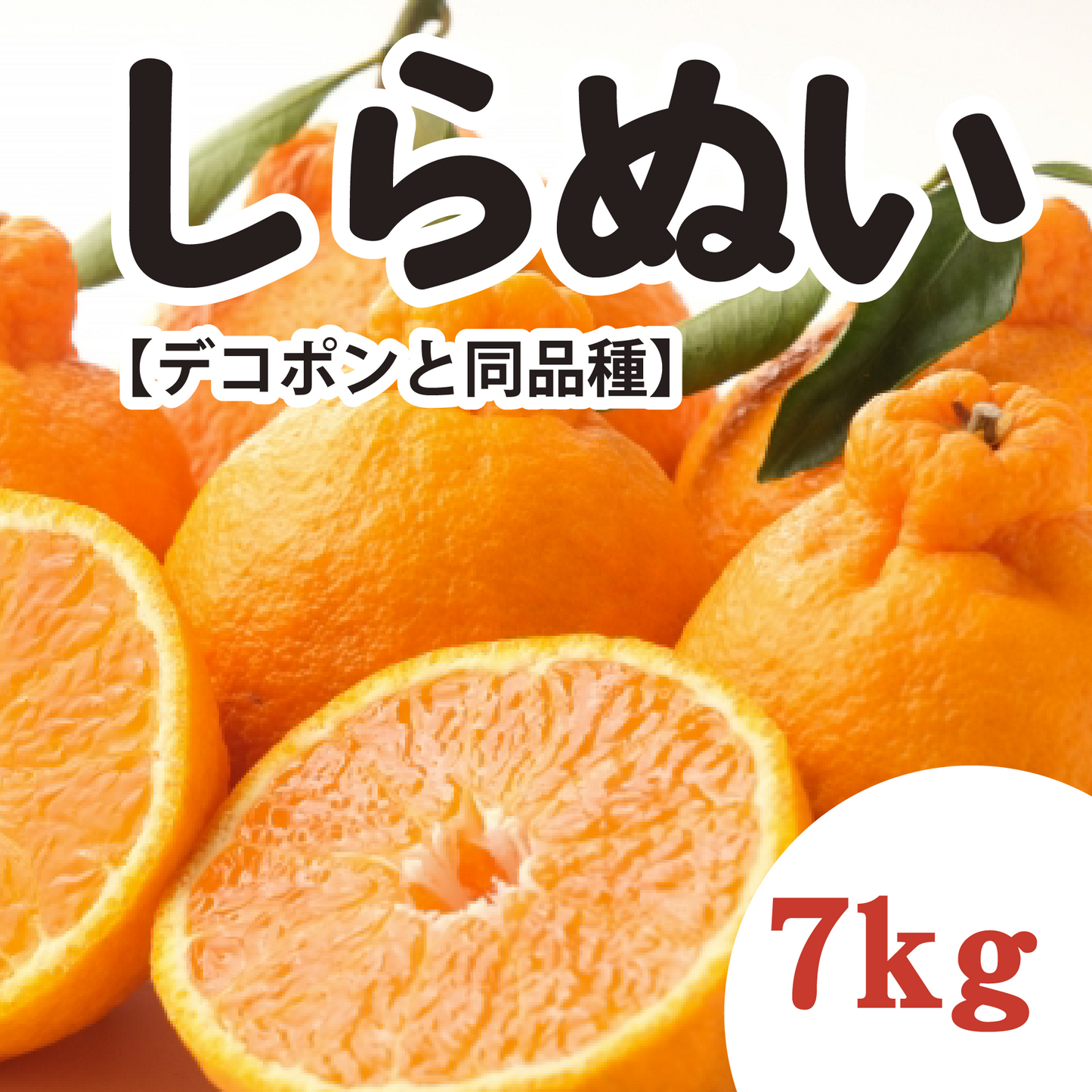 【3月中旬以降】『しらぬい(デコポンと同品種)』!甘みが強く果汁に満足!7Kg