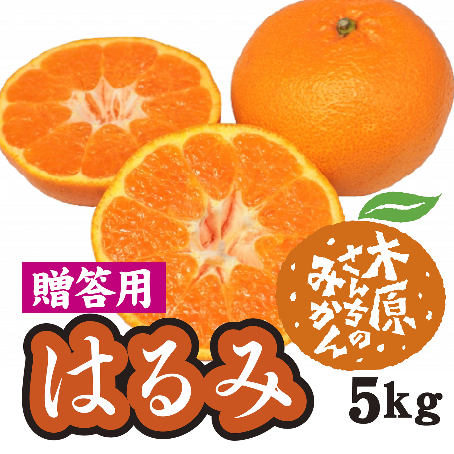 【2月中旬以降】≪贈答用≫はるみ 甘くて皮もむきやすい!5Kg