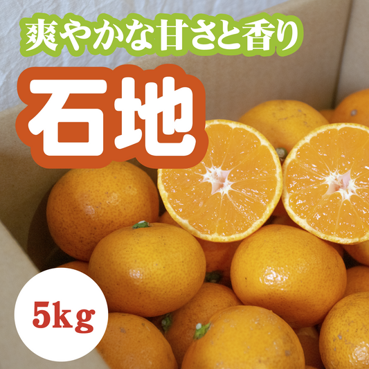 【12月上旬以降】甘さがギュッ!!と詰まった石地みかん5Kg
