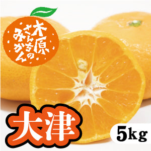 【2月下旬以降】糖度が極めて高い 大津みかん!5Kg
