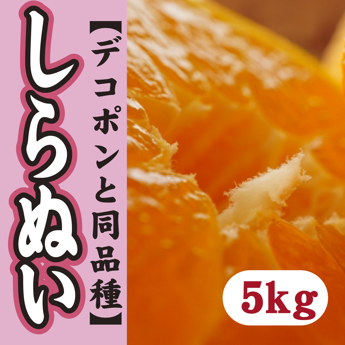 【2月下旬以降】≪デコポンと同品種≫甘さ抜群しらぬい5Kg