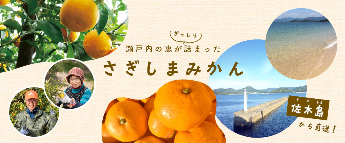 瀬戸内の恵がぎっしり詰まったさぎしまみかん 佐木島から直送!