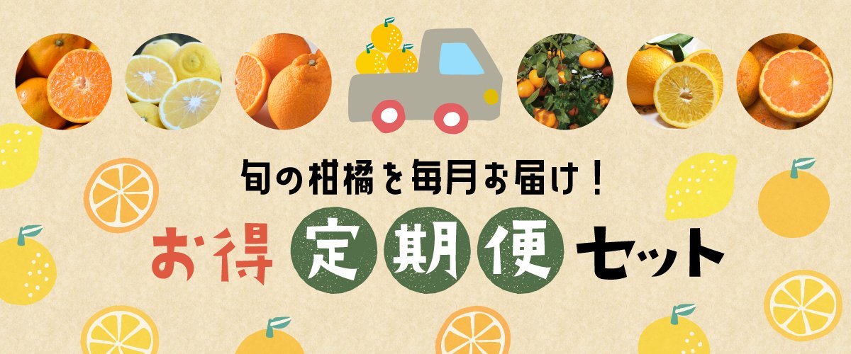 旬の柑橘を毎月お届け!お得定期便セット