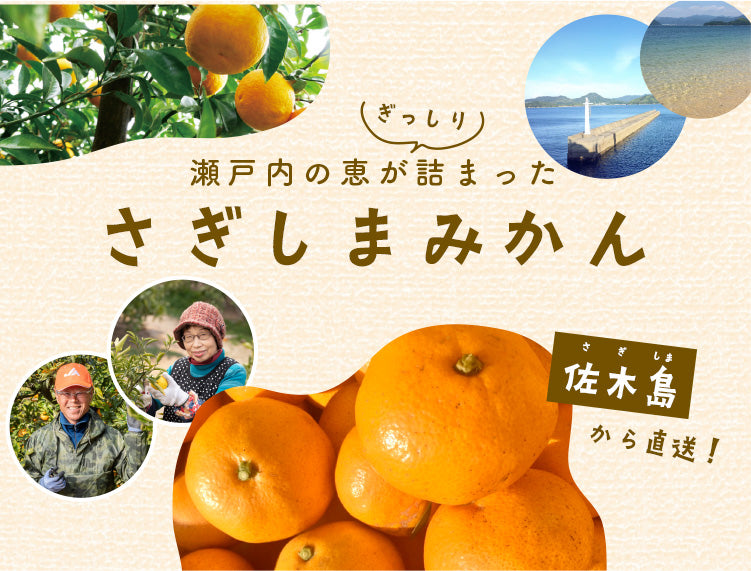 瀬戸内の恵がぎっしり詰まったさぎしまみかん 佐木島から直送!