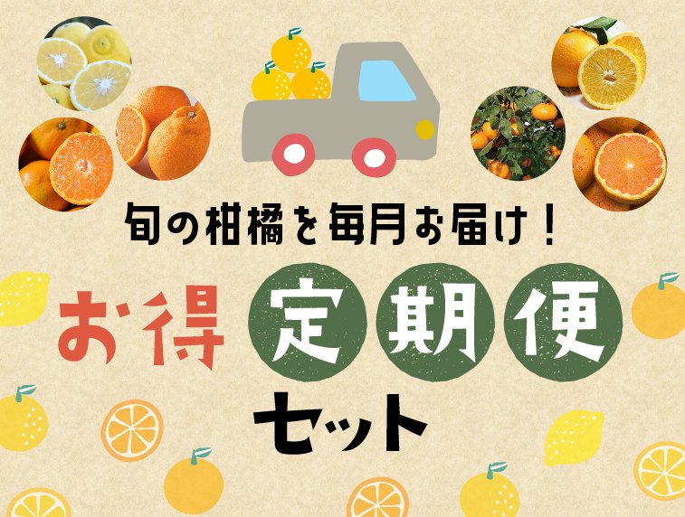 旬の柑橘を毎月お届け!お得定期便セット