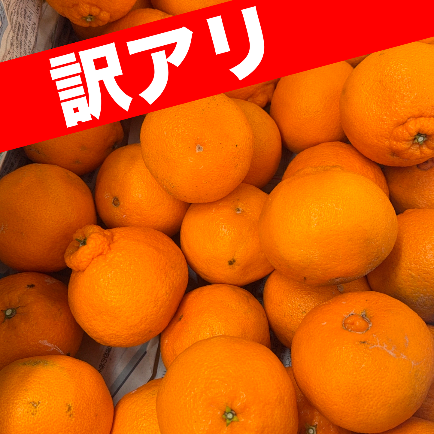 【!訳あり!限定1箱!】高糖度!甘さ抜群石地みかん3Kg