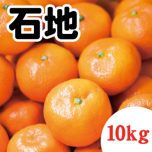 【12月上旬以降】甘さ太鼓判!濃厚!石地みかん 10Kg