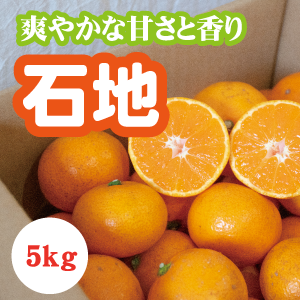 【12月上旬以降】甘さがギュッ！！と詰まった石地みかん５Kg