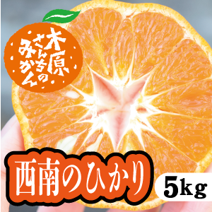 【12月中旬以降】西南のひかり 甘味と酸味のバランスの良さが特徴!5Kg