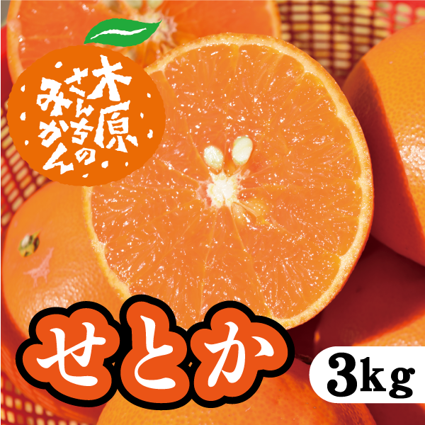 【2月下旬以降】せとか 濃厚ジューシーに大満足!3Kg