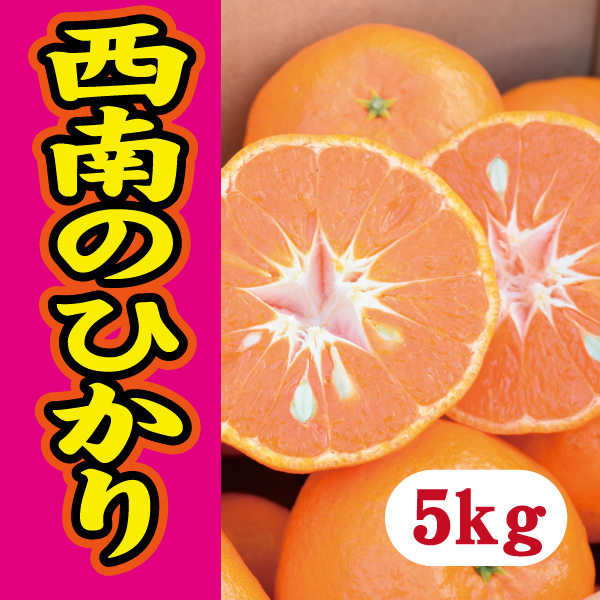 【12月下旬以降】西南のひかり 皮もむきやすく甘さも酸味も大満足5Kg