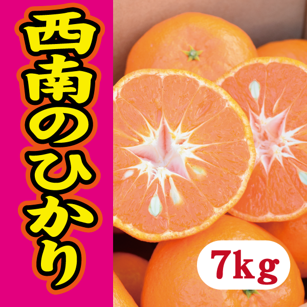 【12月下旬以降】西南のひかり 皮もむきやすく甘さも酸味も大満足7Kg
