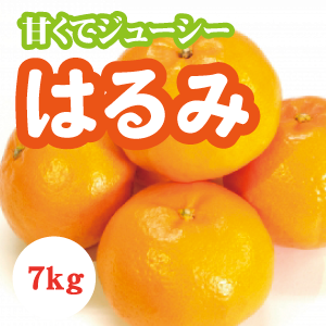 【2月上旬以降】貴重な品種『はるみ』甘さと酸味のハーモニー7Kg