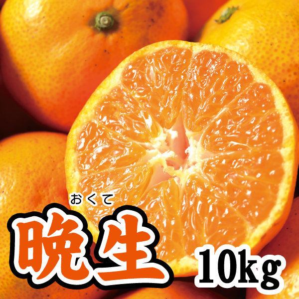 【1月下旬以降】晩生(おくて) シーズン最後の甘いみかん!10Kg