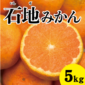 【12月上旬以降】甘さとコクのある深い味わい　石地みかん５Kg