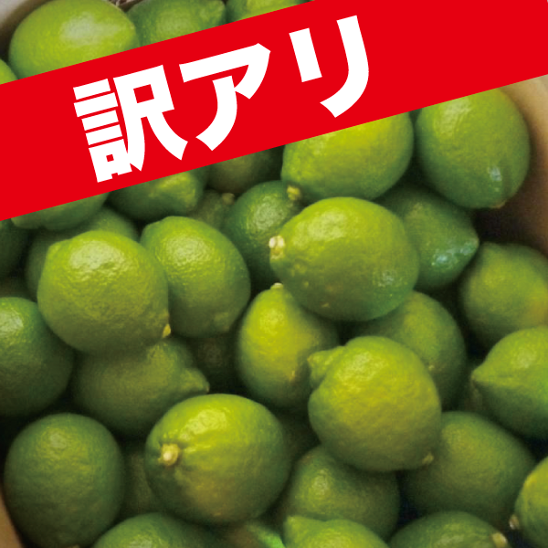 【11月~12月頃】≪訳アリ≫除草剤不使用グリーンレモン2Kg
