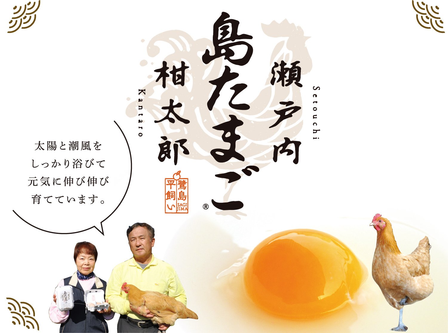 平飼い有精卵 瀬戸内柑太郎「島たまご」
