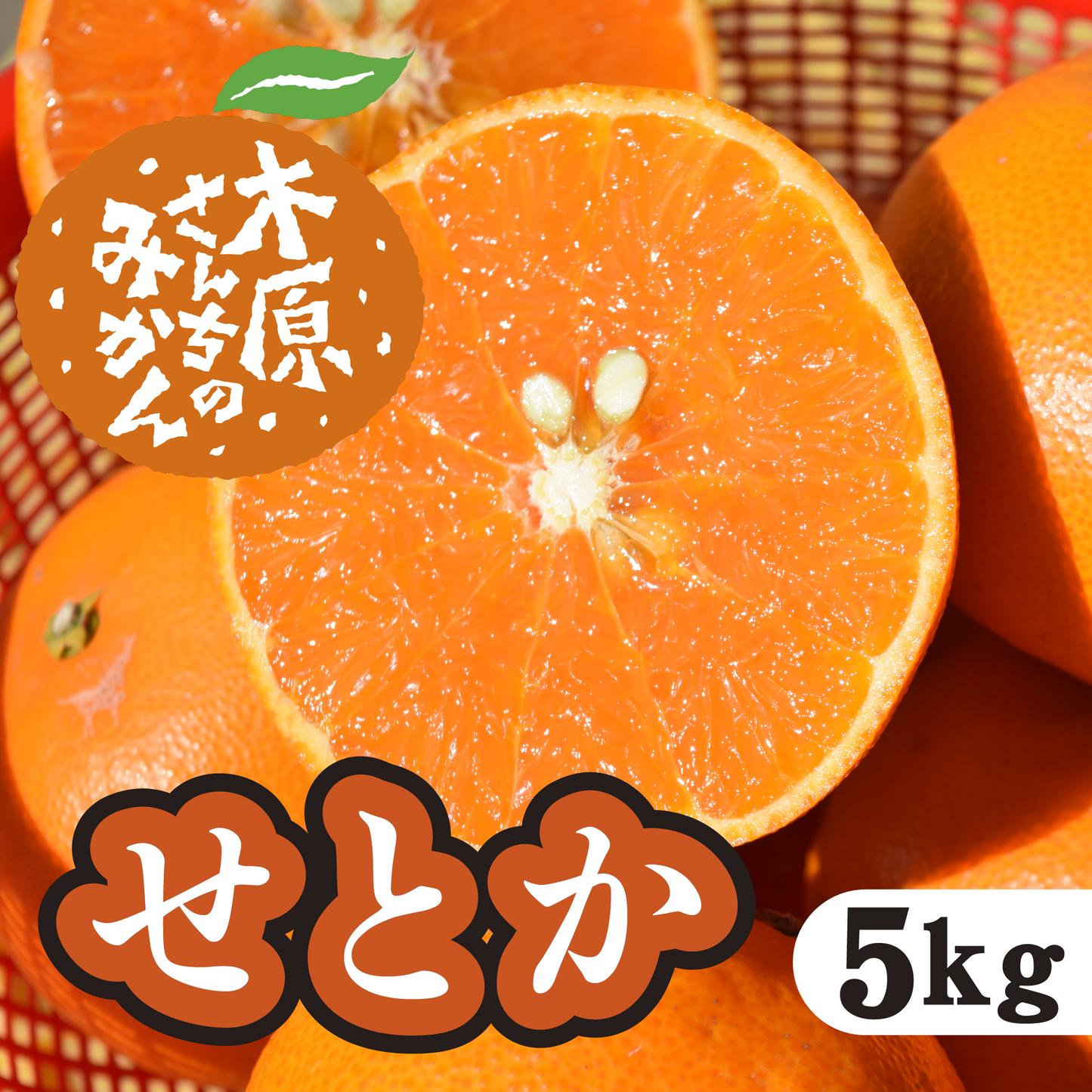 【2月下旬以降】せとか　濃厚ジューシーに大満足！５Ｋg