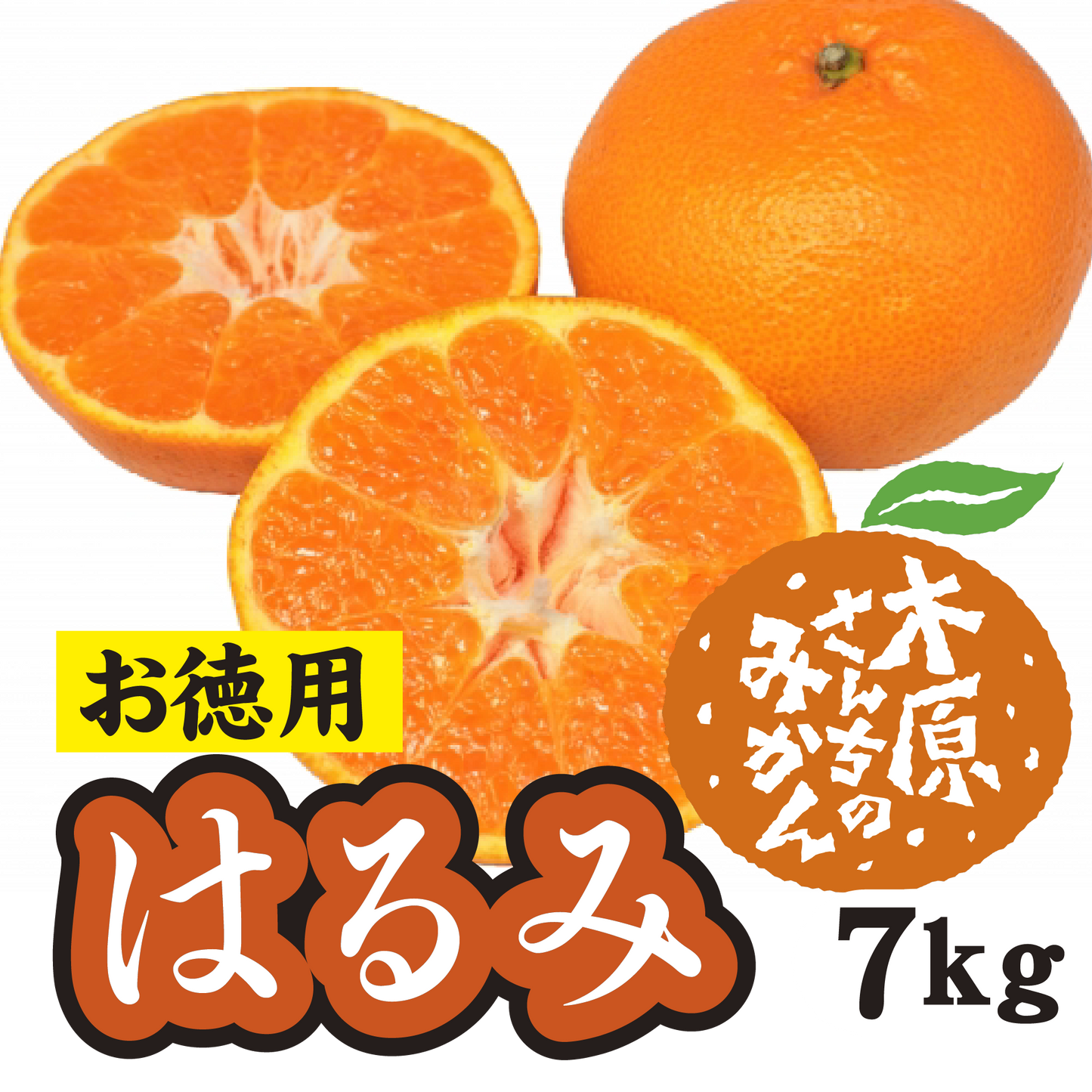 【2月中旬以降】≪お徳用≫はるみ　甘くて皮もむきやすい！７Ｋg