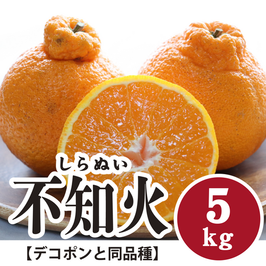 【3月上旬以降】甘さに大満足！不知火【デコポンと同品種】５Kg