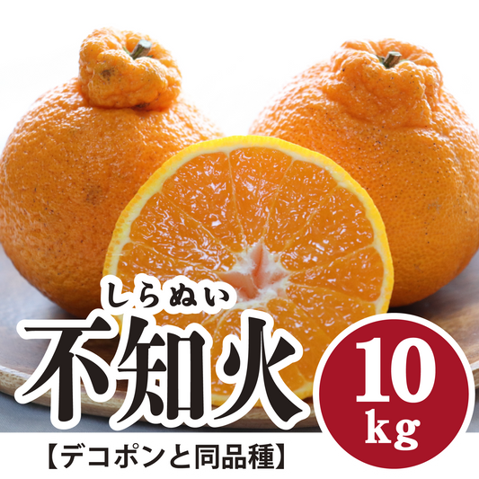 【3月上旬以降】甘さに大満足！不知火【デコポンと同品種】１０Kg