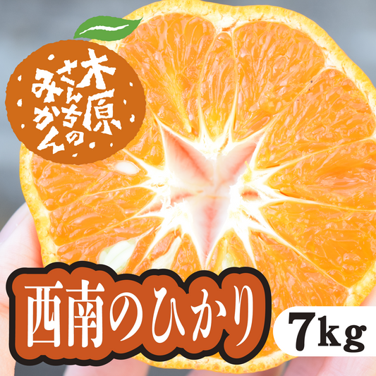 【12月中旬以降】西南のひかり　甘味と酸味のバランスの良さが特徴！7Ｋg