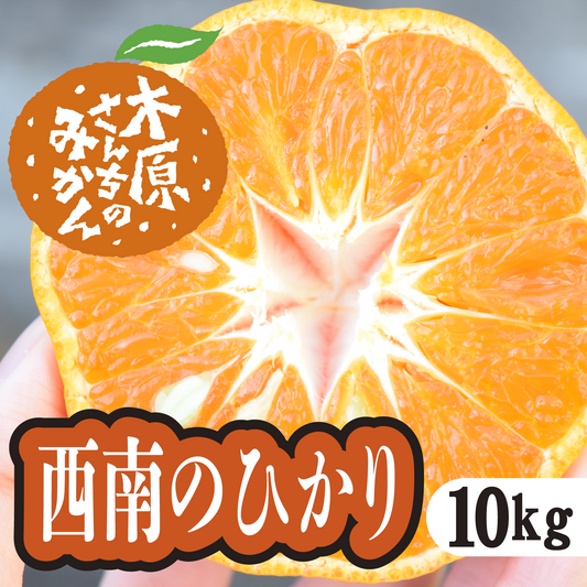 【12月中旬以降】西南のひかり　甘味と酸味のバランスの良さが特徴！１０Ｋg