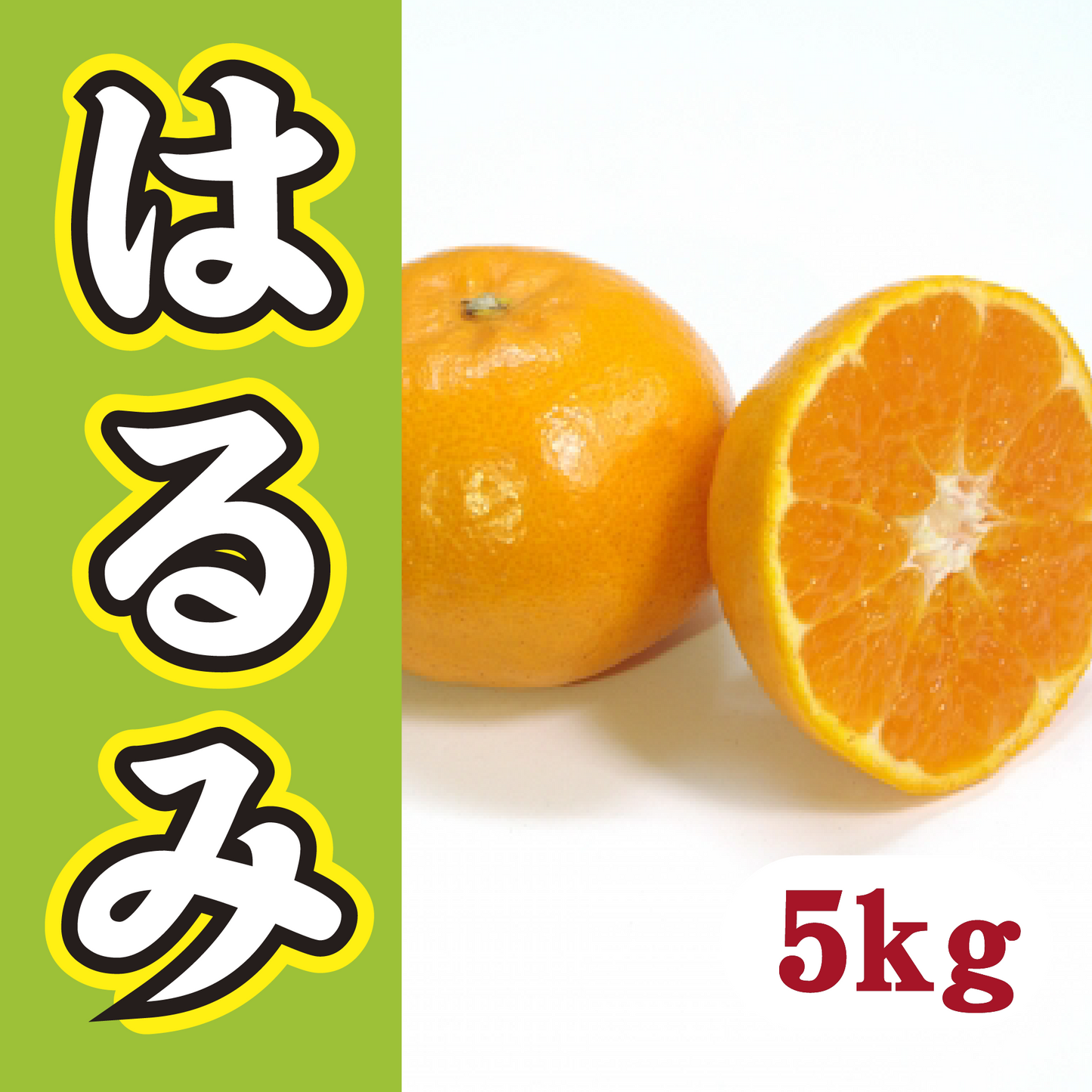 【2月中旬以降】家族で気軽に！甘さ満足はるみ５Kg