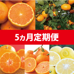 【12月～４月定期配送】毎年人気の品種を今年は集めて毎月お届け！お好み柑橘がみつかるかも♪（５種類／５ヶ月）