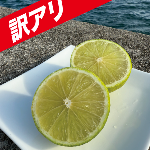 【訳アリ】ライム１kg