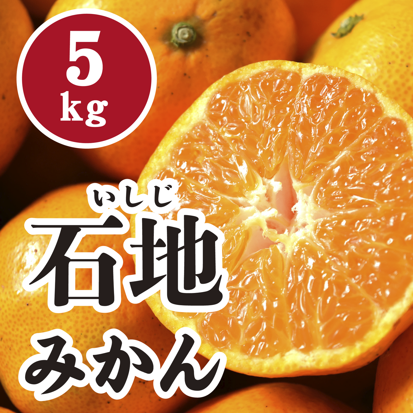 【12月上旬以降】高糖度！甘さ抜群石地みかん５Kg