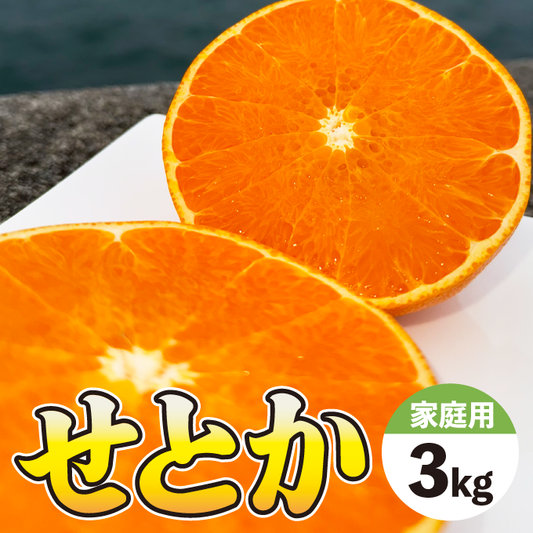 【すぐに発送可能】せとか　濃厚ジューシー　今が旬！大満足！３Ｋg